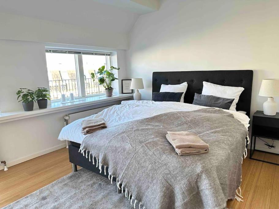 Penthouse-Nordic-Citycenter-Balcony 哥本哈根 外观 照片